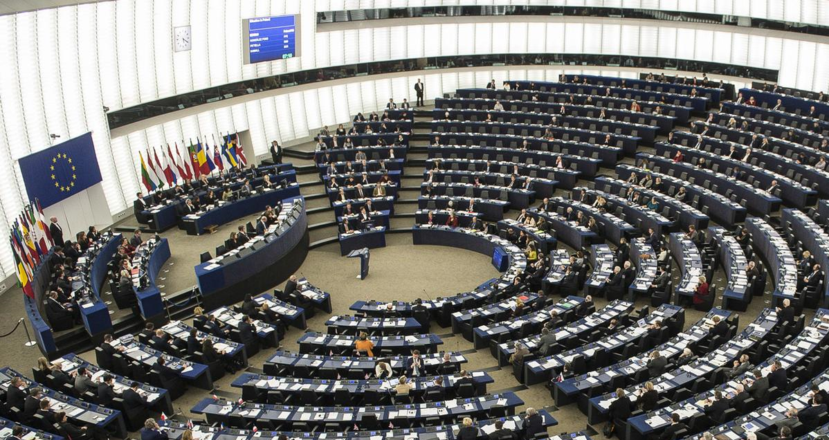 Elections before the European Parliament 2024